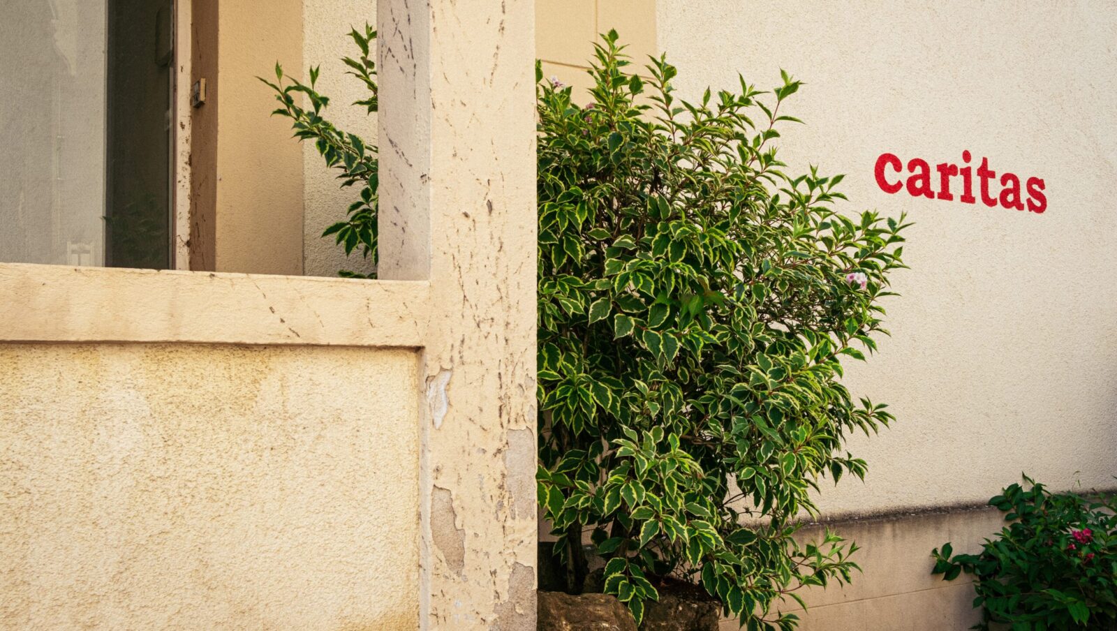Affaire Caritas: «Hëllef um Terrain» cherche ses dirigeants - Reporter.lu